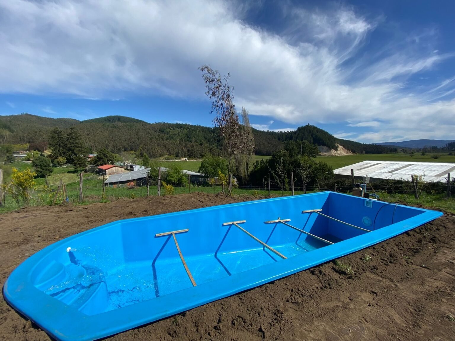 whatsapp image 2025 11 08 at 22.07.04