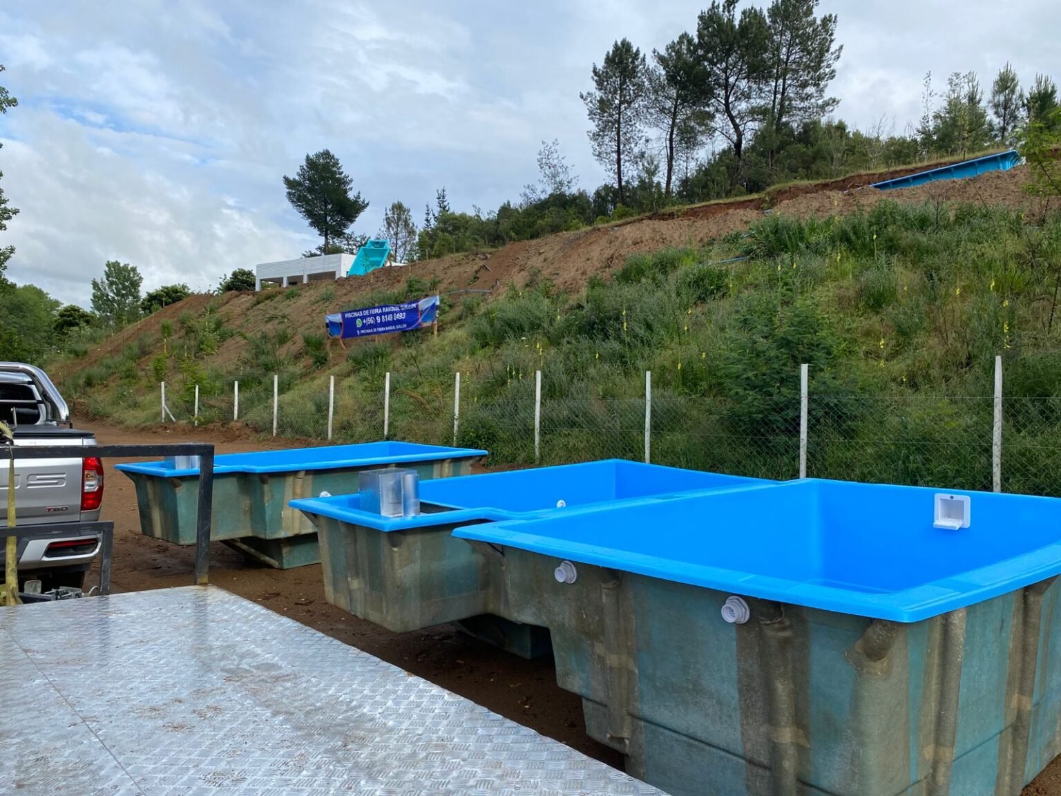 whatsapp image 2025 11 08 at 22.08.34