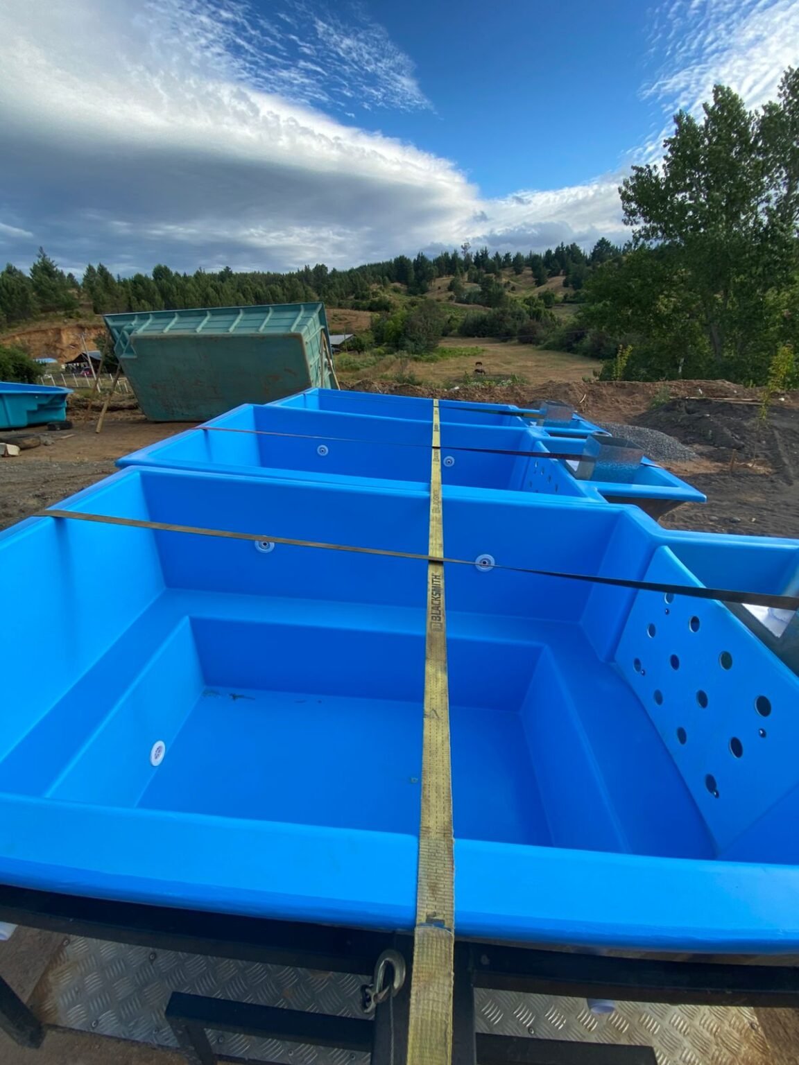 whatsapp image 2025 11 08 at 22.12.14