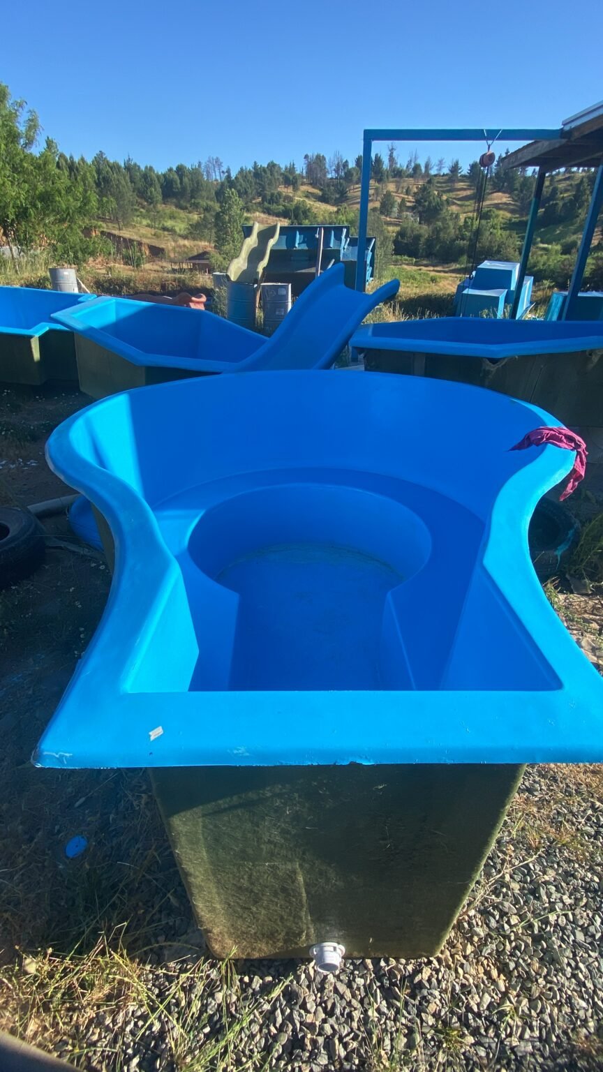 59ea448e 6ae0 4e4d 9d5b 6274f8b2c42b