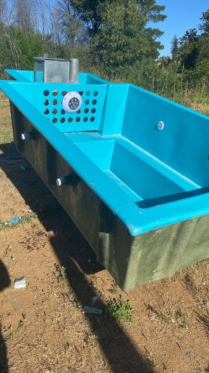 whatsapp image 2026 02 09 at 23.12.14